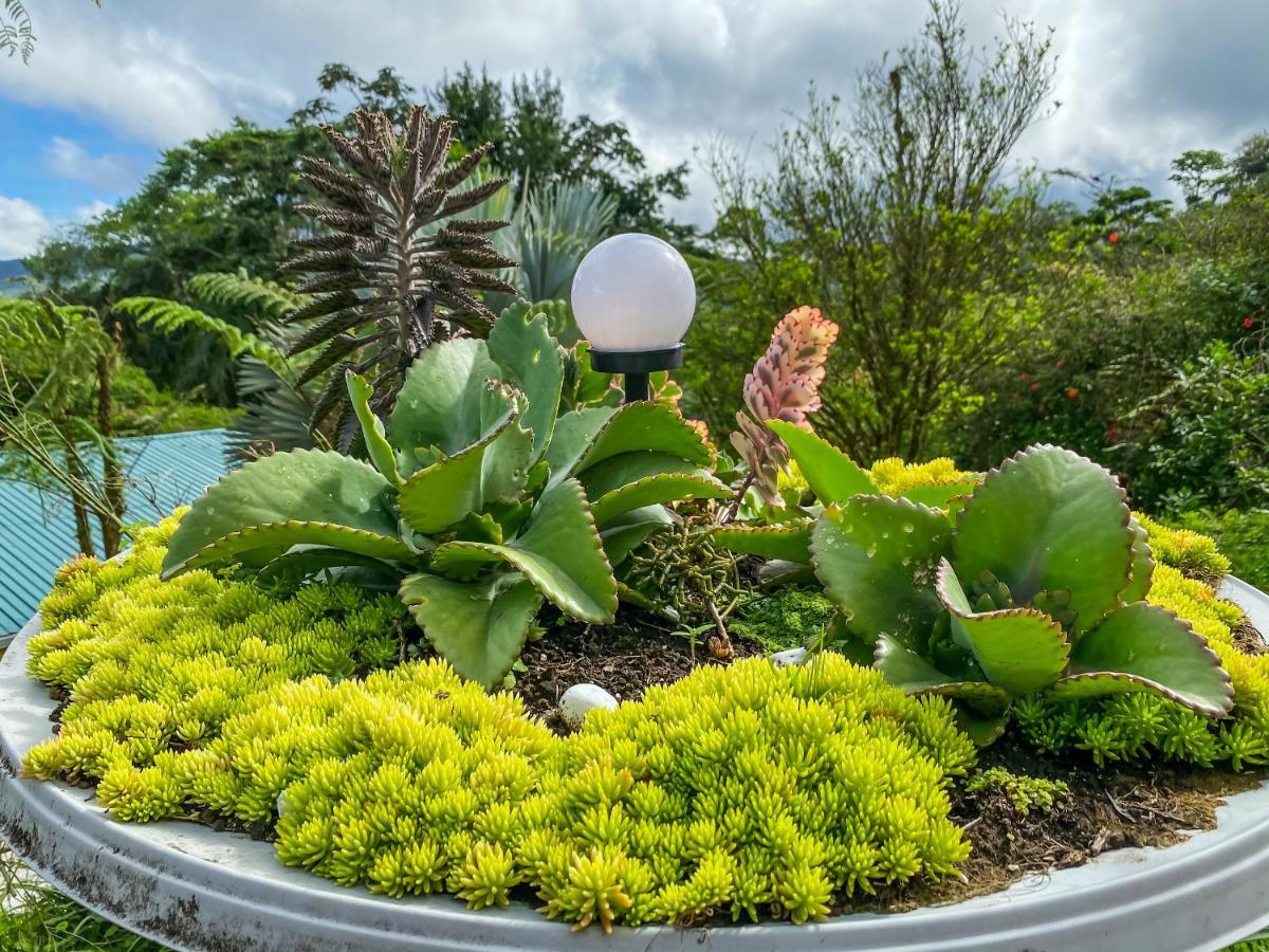 Retiro Del Lago Arenal Lodge El Castillo ภายนอก รูปภาพ